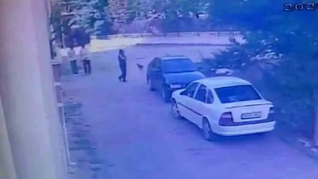 Bolu'da park halindeki otomobilden saat çaldı