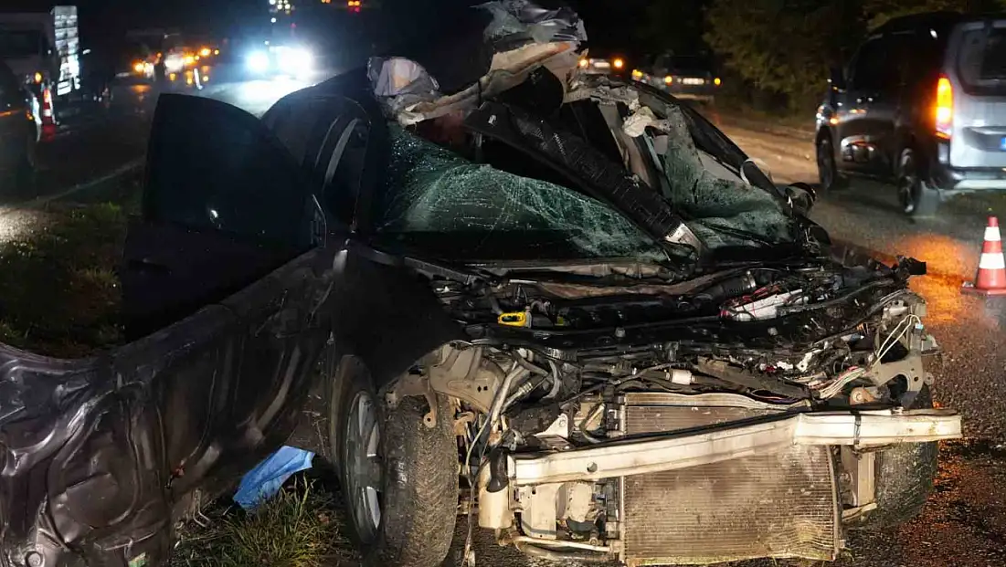 Büyükbaş hayvana çarpan otomobilin sürücüsü hayatını kaybetti