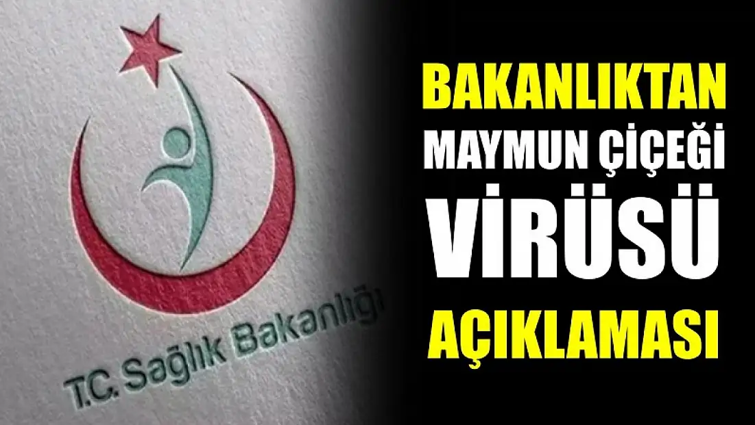 DSÖ küresel acil durum ilan etti