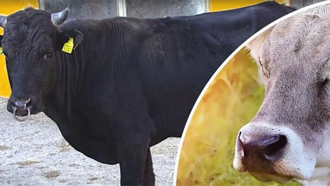 Halk Elinde Islah Projeleri’ne 2,7 milyar lira destek