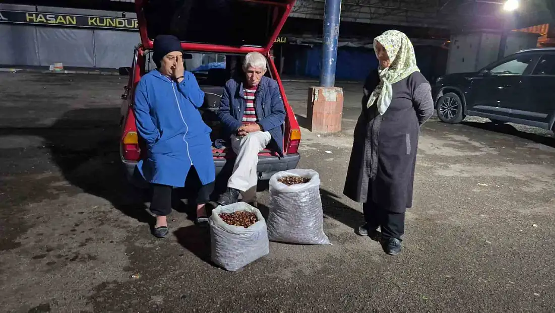 Kestane rekoltesi kuraklık sebebiyle düştü
