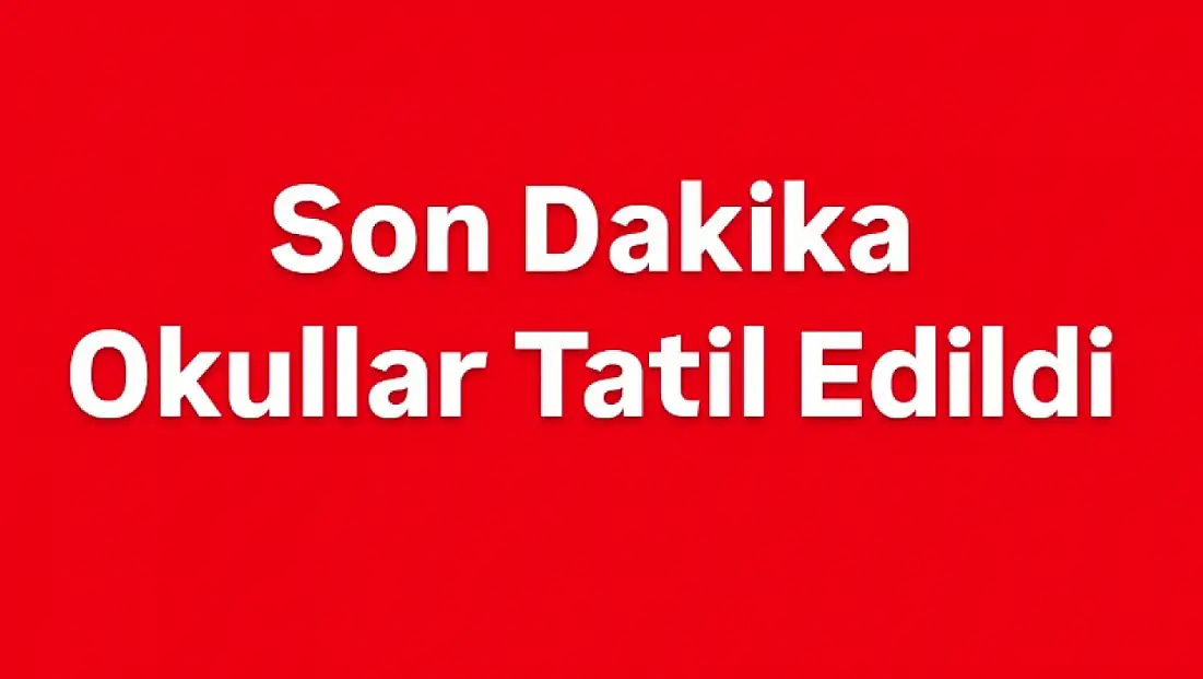 Okullar tatil edildi