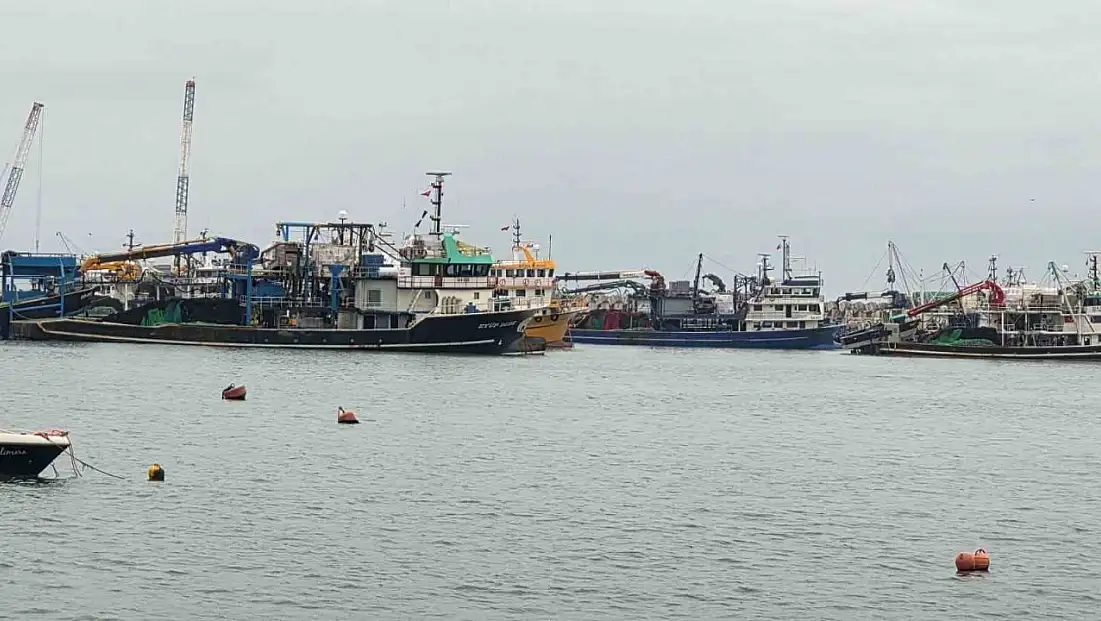 Olumsuz hava şartları nedeniyle tekneler Ereğli Limanı'na sığındı