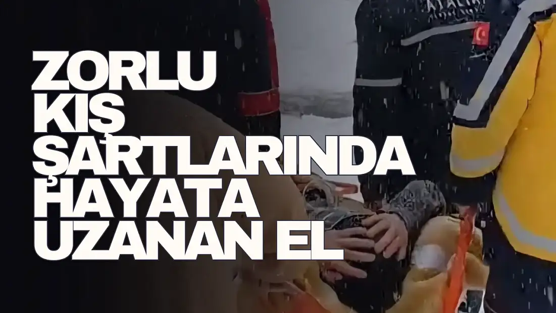 Zorlu Kış Şartlarında Hayata Uzanan El