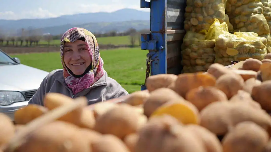 'Patates diyarı'nda çiftçiler ekim mesaisinde