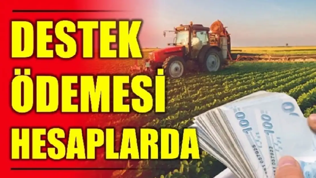 1 milyarlık tarımsal ödeme hesaplara aktarıldı