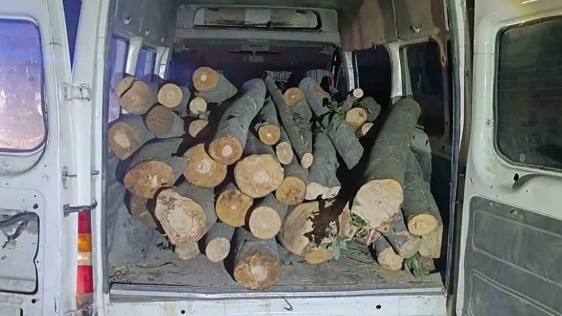 1 ton kaçak orman ürünü ele geçirildi