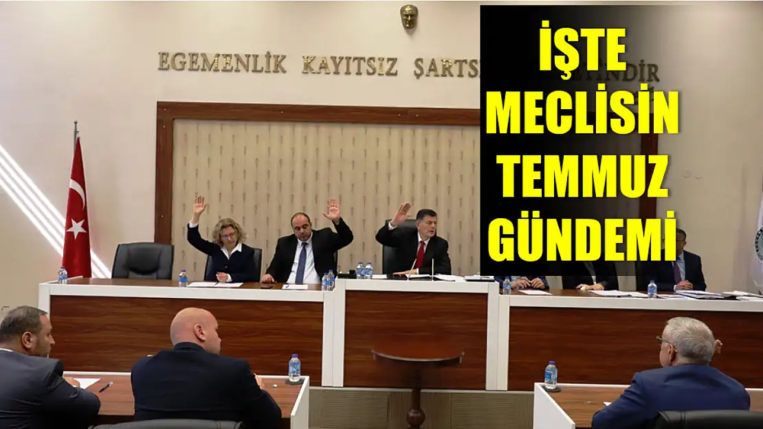 17 madde görüşülecek