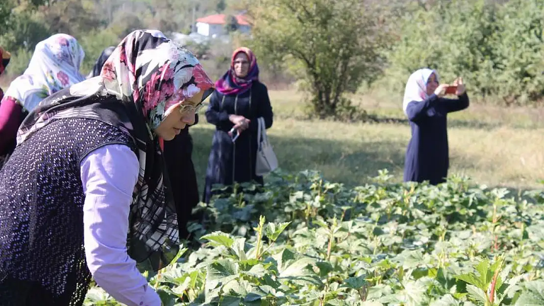 170 milyonluk destek ödemesi hesaplara aktarıldı