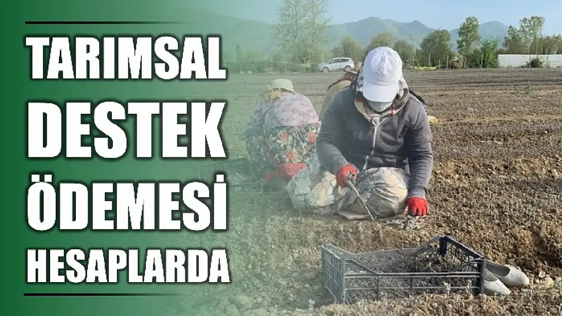 2 milyar liralık destek hesaplara aktarıldı