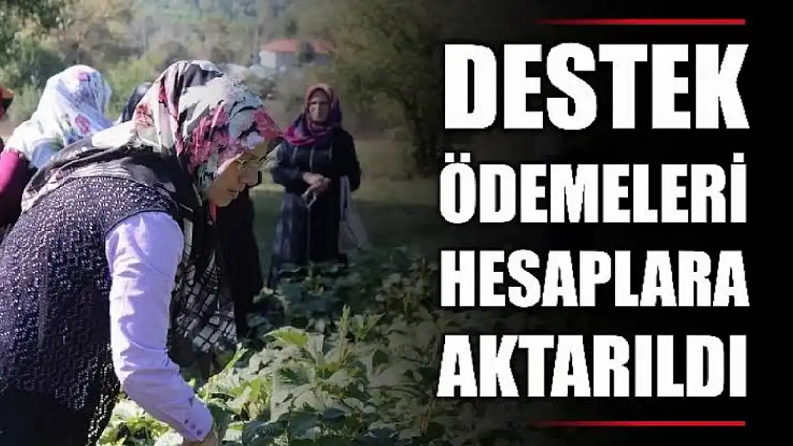 2 milyarı aşkın destek hesaplarda