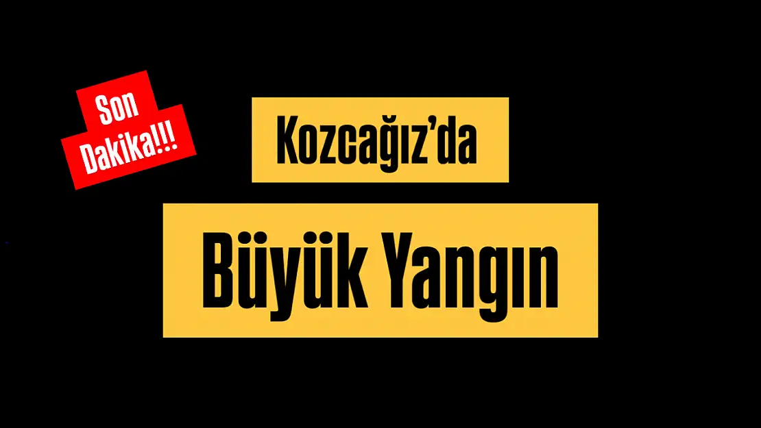 3 ev alevlere teslim oldu