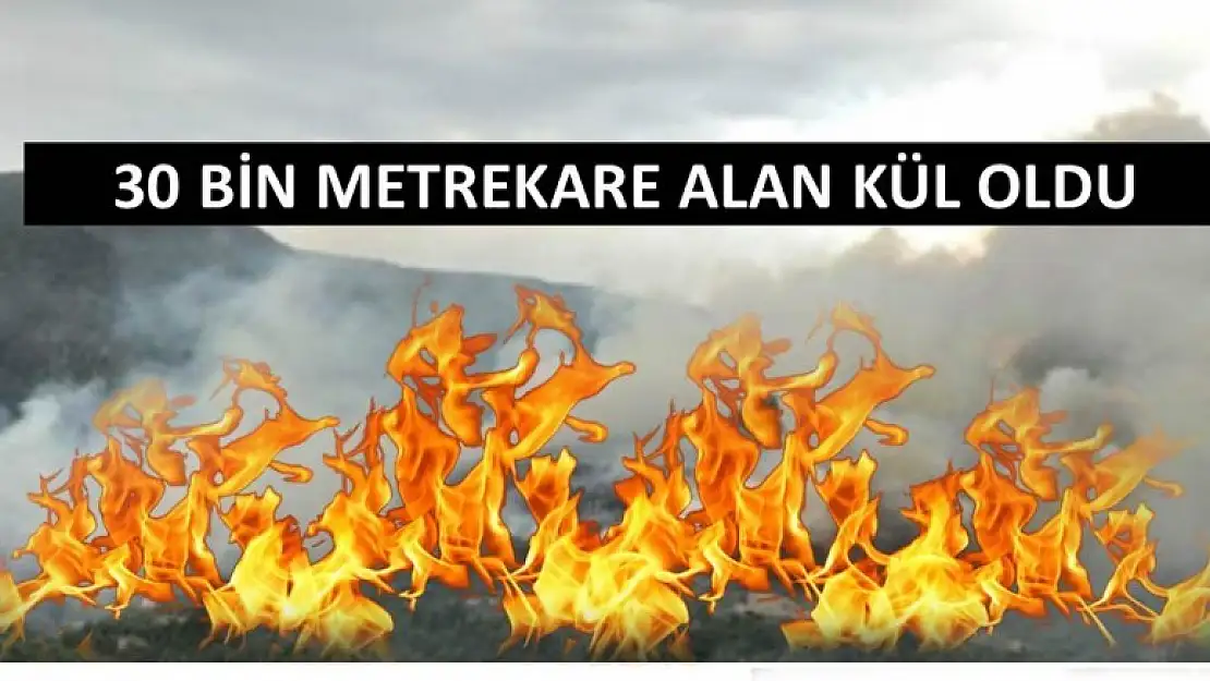 30 BİN METRE KARE ALAN KÜL OLDU