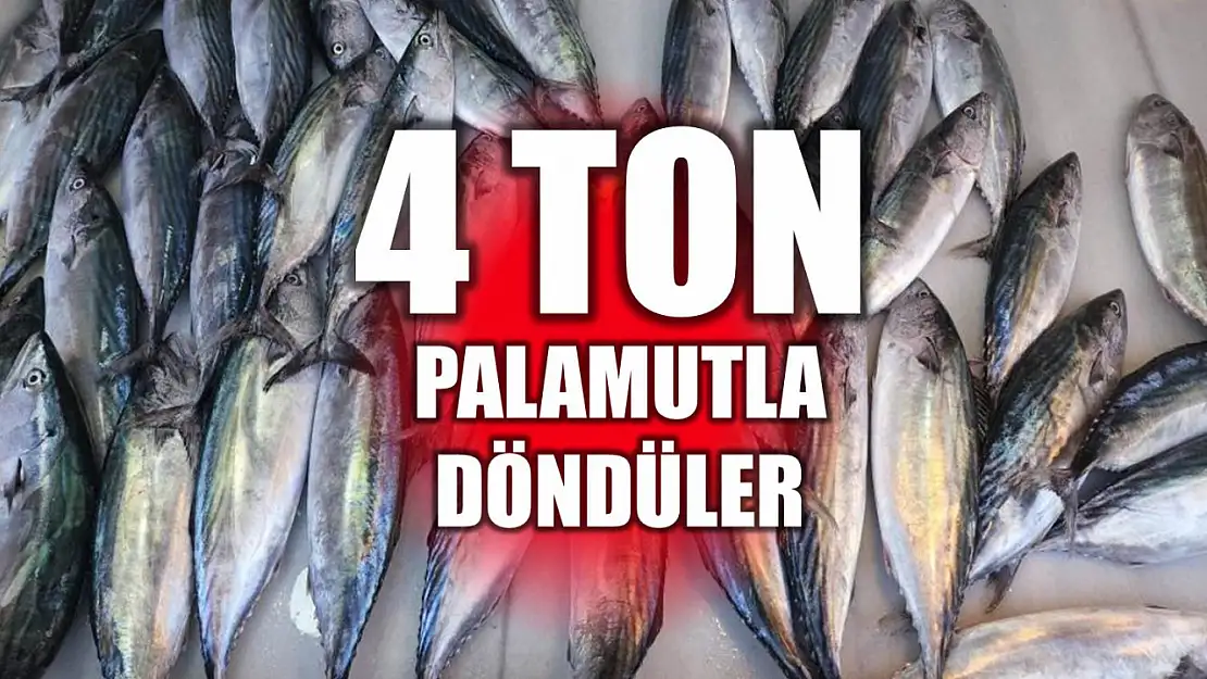 4 ton palamutla döndüler