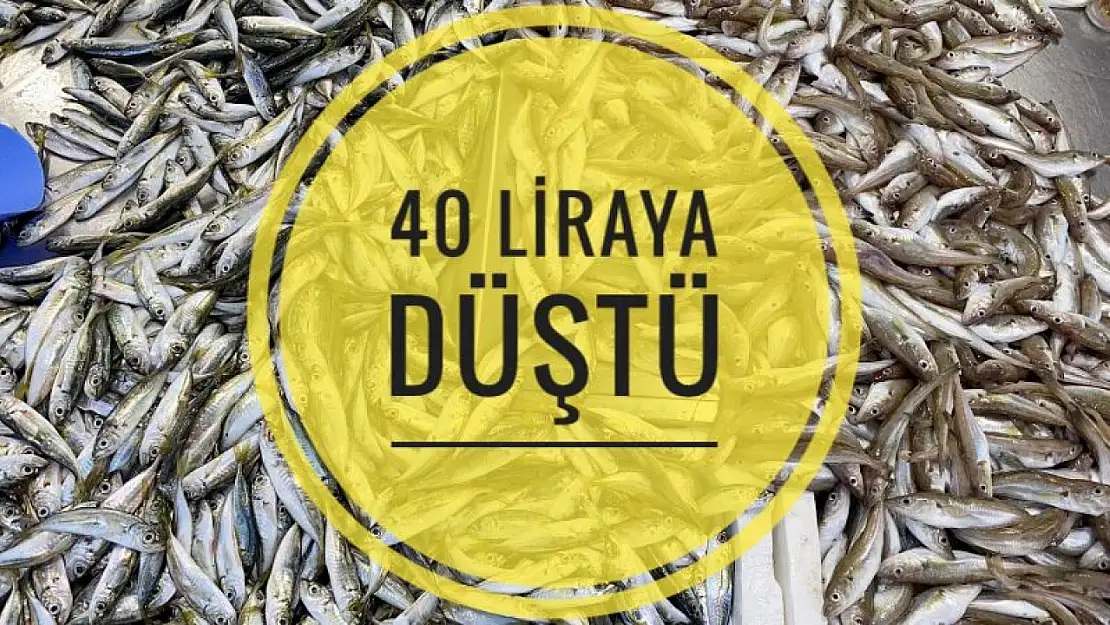 40 liraya düştü