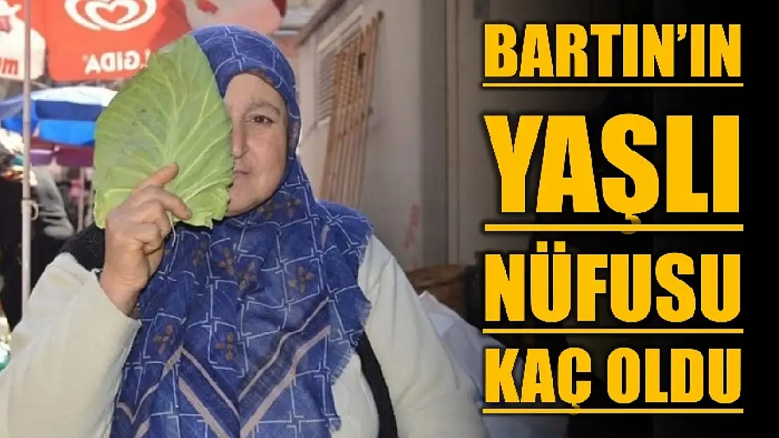 5 binden fazla yaşlı tek başına yaşıyor