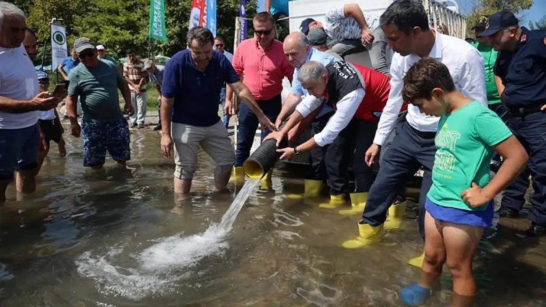 Pullu sazan balıklarının ilk satışı yapıldı