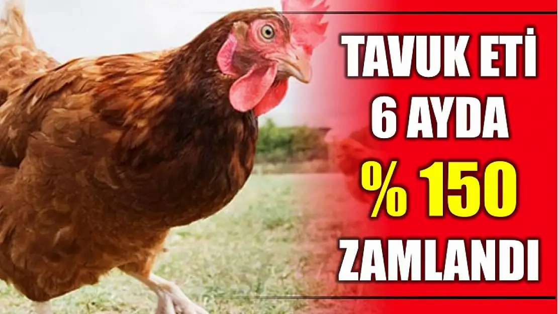 6 ayda yüzde 150 zamlandı