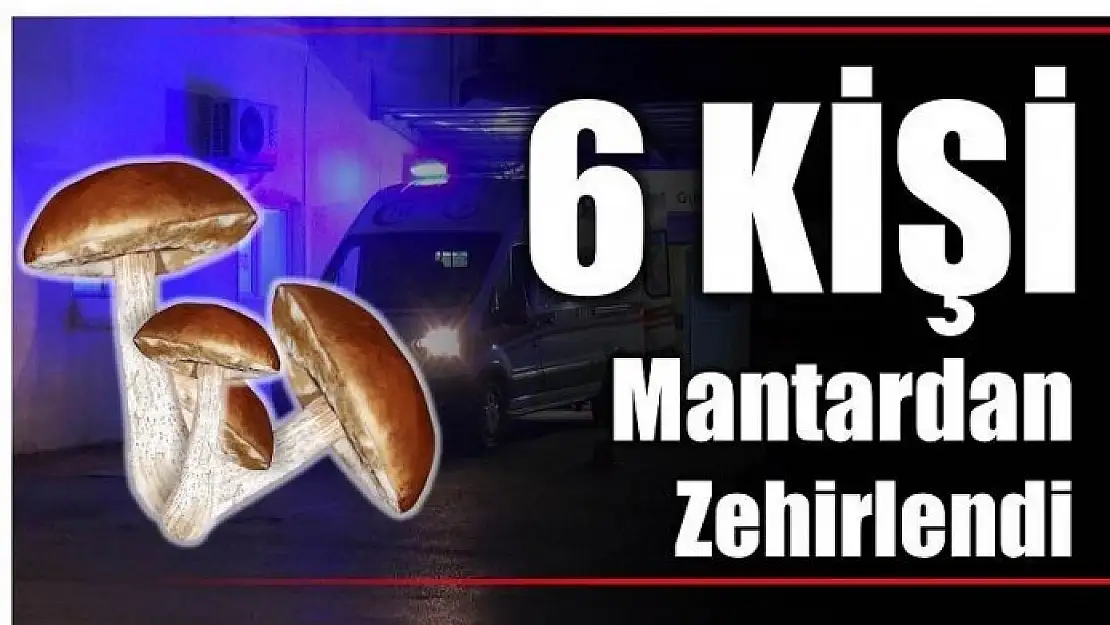 6 KİŞİ MANTARDAN ZEHİRLENDİ!