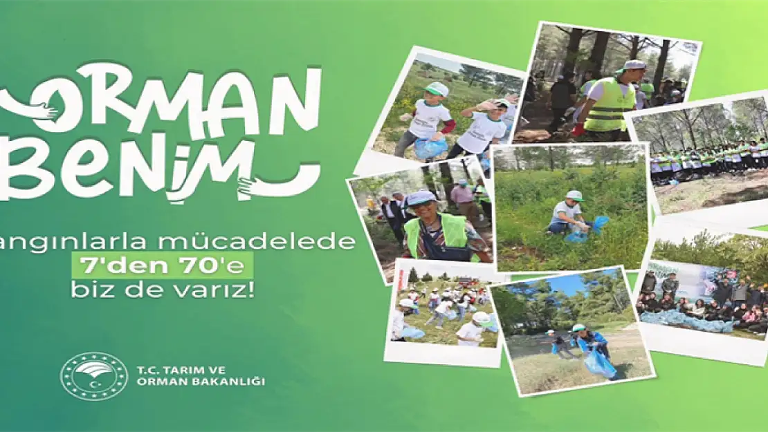 7'den 70'e herkes 'Orman benim' diyecek