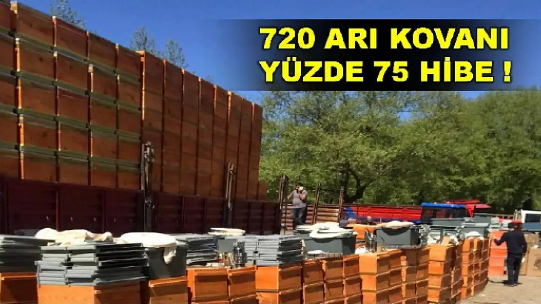 720 arı kovanı, yüzde 75 hibe