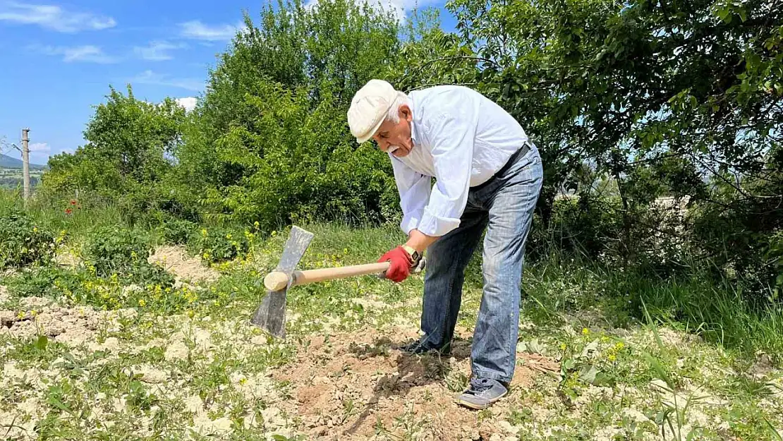 80 yaşında tarlada gençlere taş çıkartıyor: