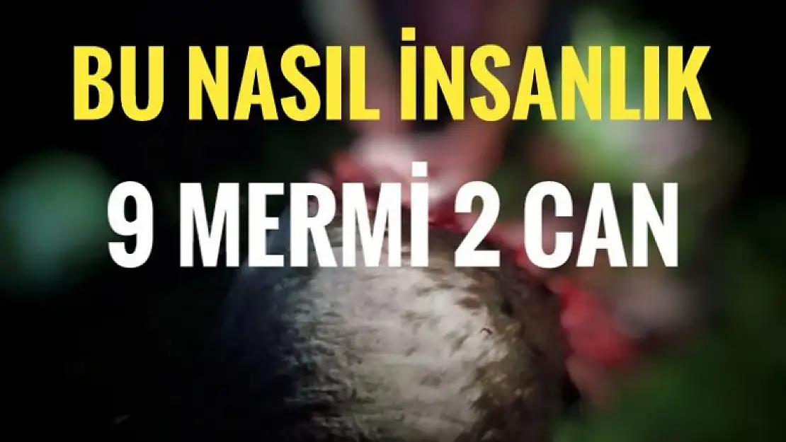 9 MERMİ 2 CAN! BU NASIL İNSANLIK?