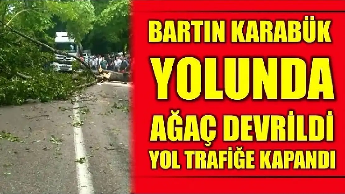 AĞAÇ DEVRİLDİ TRAFİK DURDU