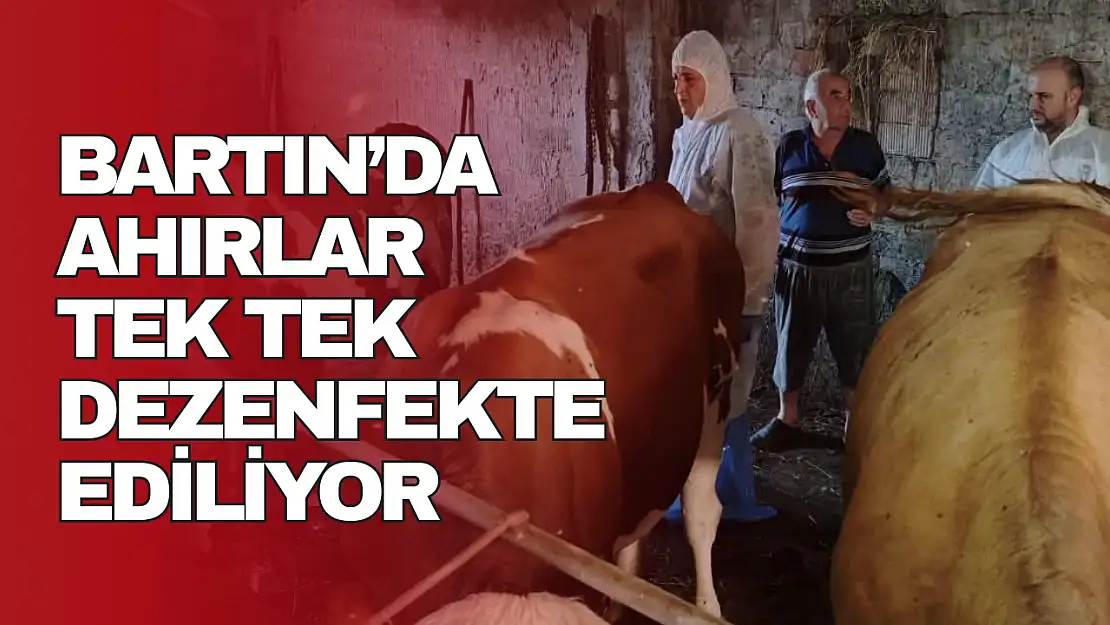 Ahırlar Tek Tek Dezenfekte Ediliyor