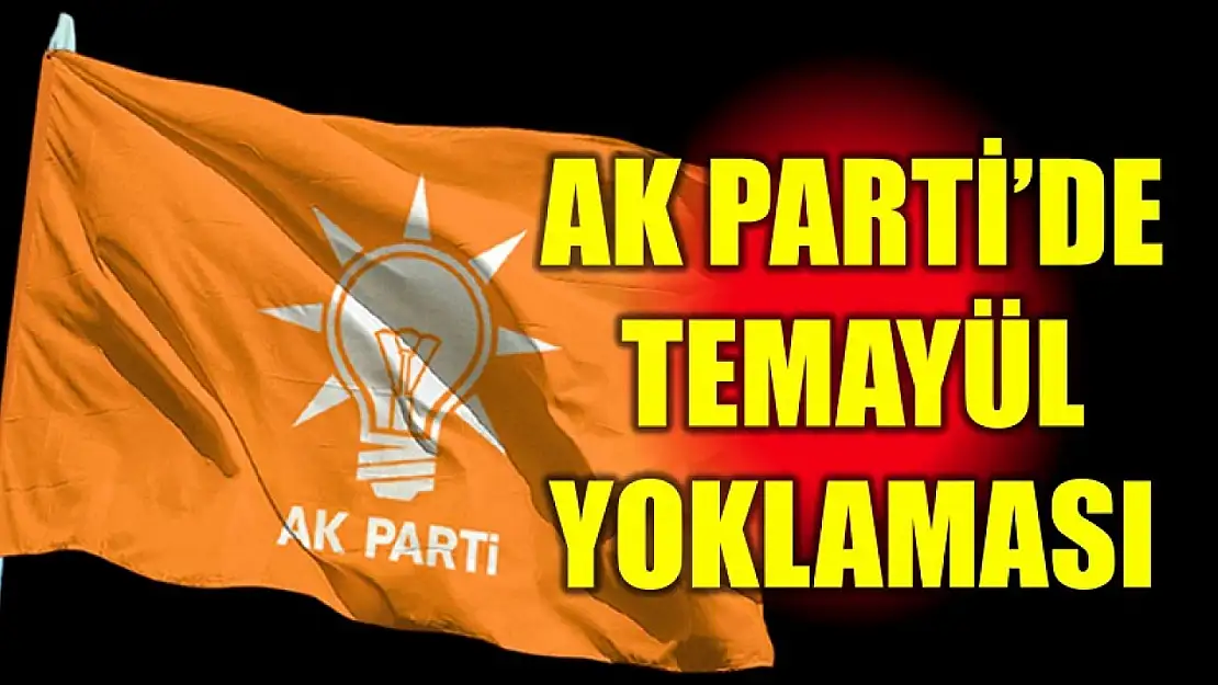 AK Parti'de temayül yoklaması