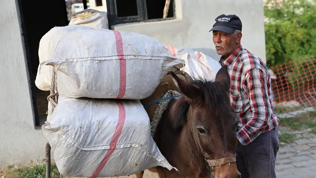 Akaryakıt zamları, at, eşek ve katırları kıymetli kılmaya devam ediyor