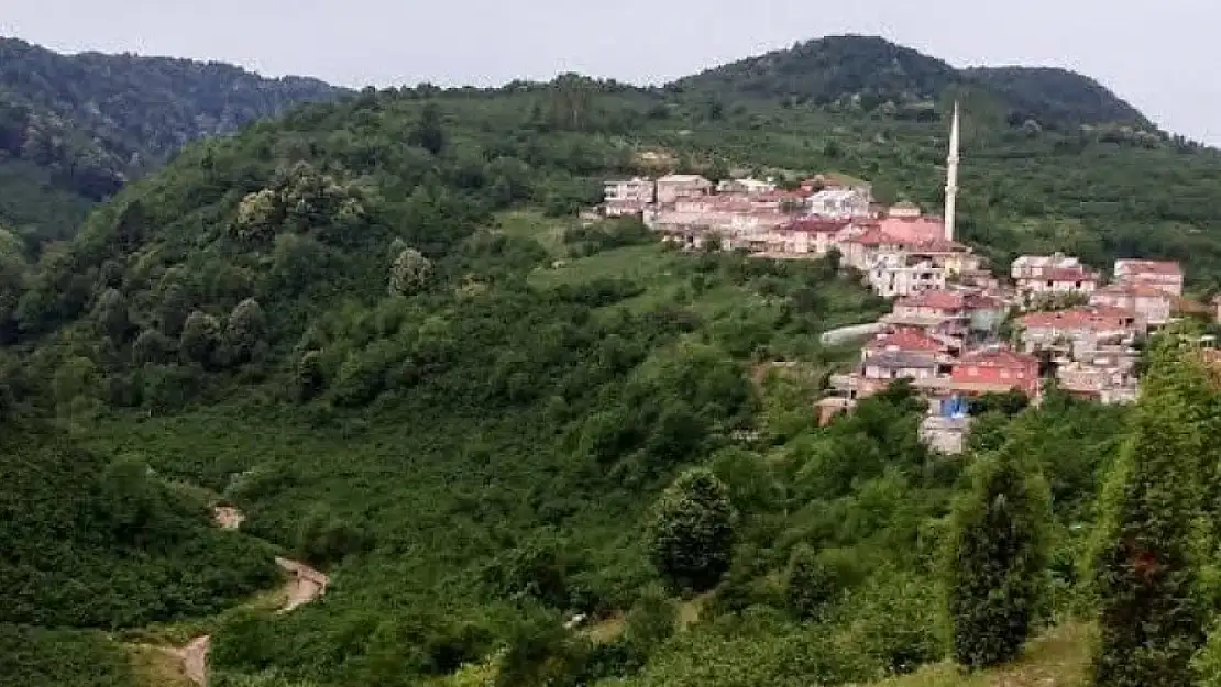 Alaplı'da 5 köyde seçim heyecanı yaşanacak