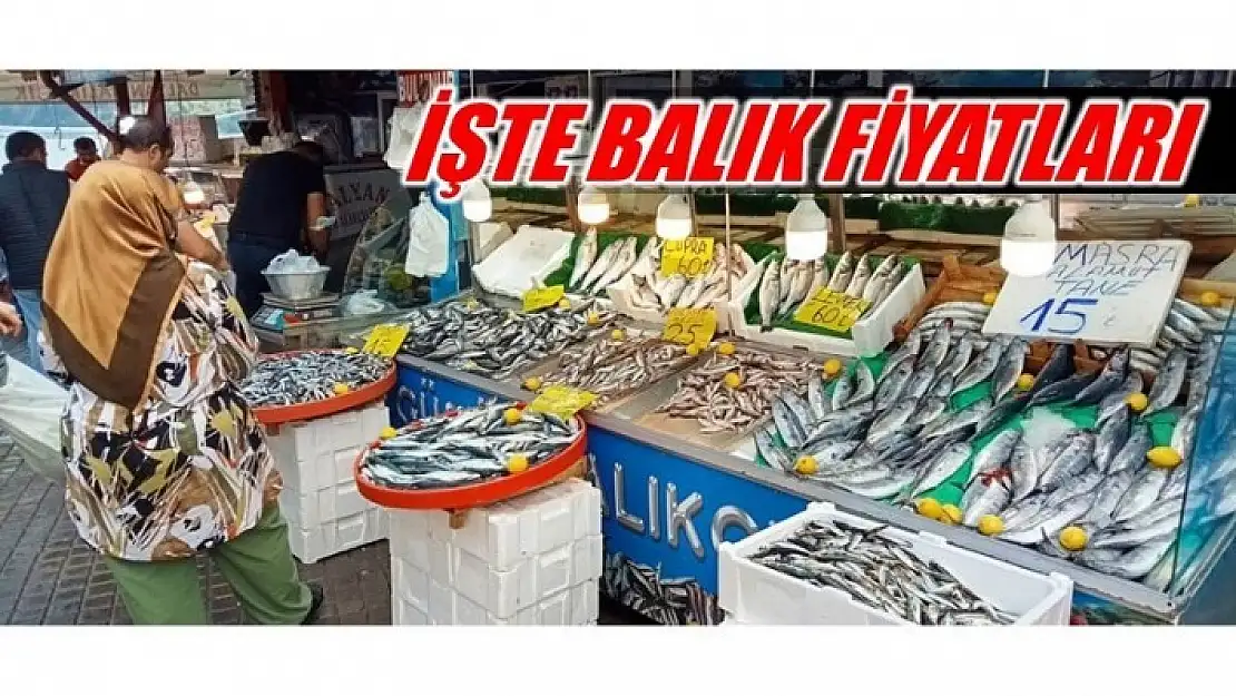 AMASRA'DA BALIK FİYATLARI