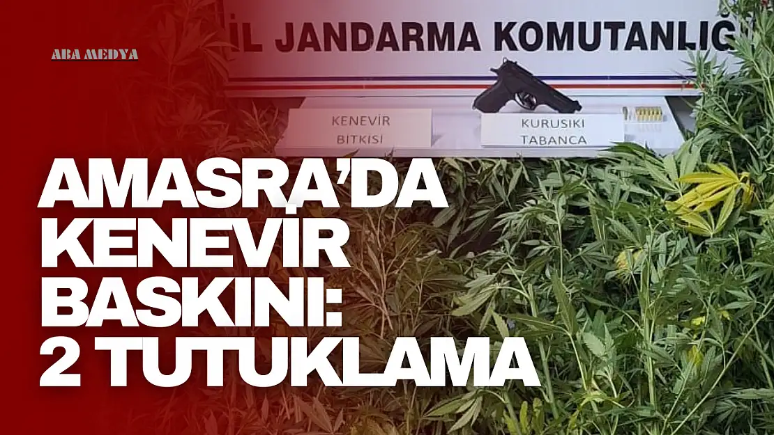 Amasra'da Kenevir Baskını: 2 Tutuklama