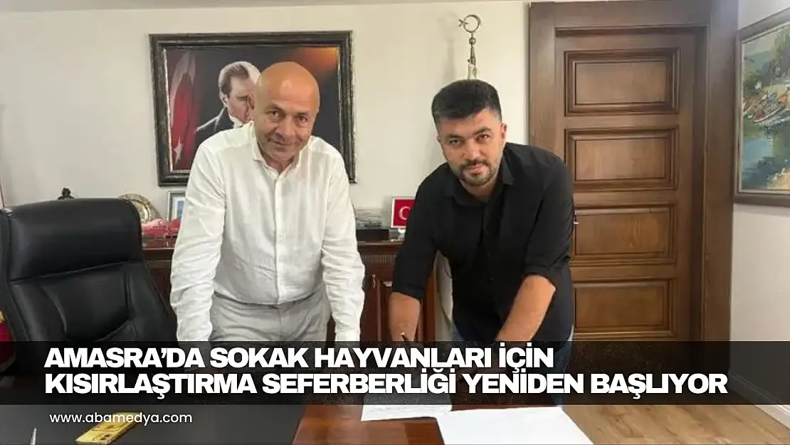 Amasra'da Sokak hayvanları için yeni dönem