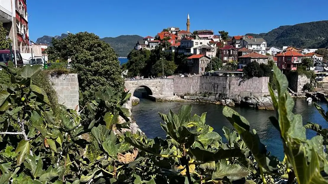 Amasra Kalesi ağaç ve bitkilerden temizlenecek