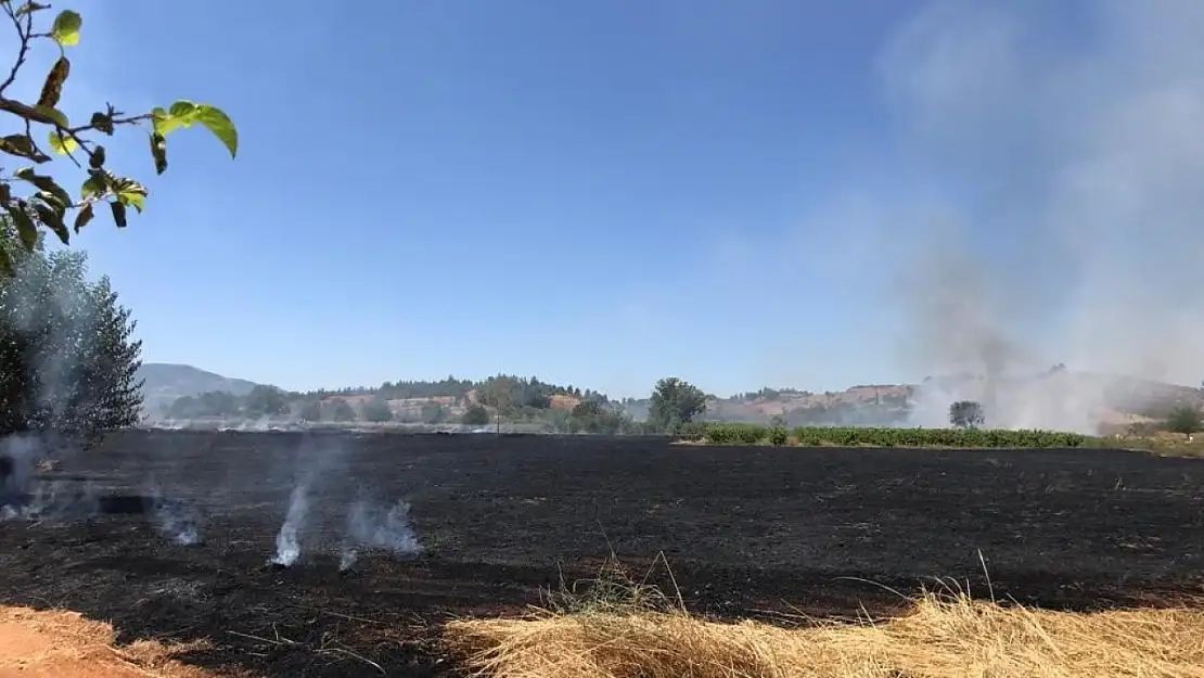 Anızda başlayan yangın ekili arazilere sıçradı