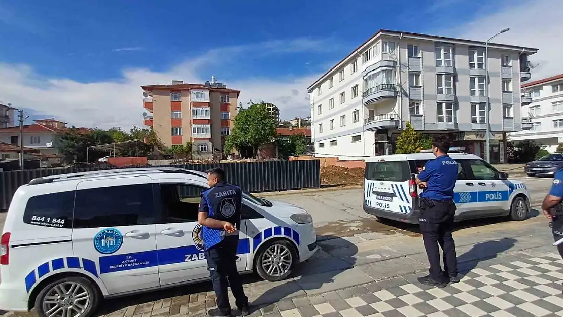Kaçan dana yaşlı kadını yaraladı