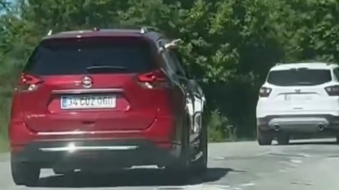 Aracından yola defalarca çöp atarken görüntülendi