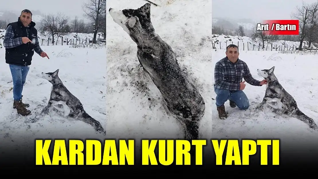 Arıtlı vatandaş bu kez kardan kurt yaptı