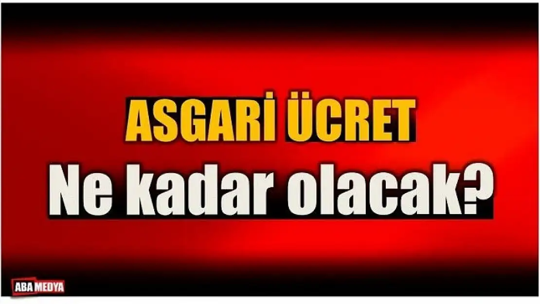 ASGARİ ÜCRET NE KADAR OLACAK?