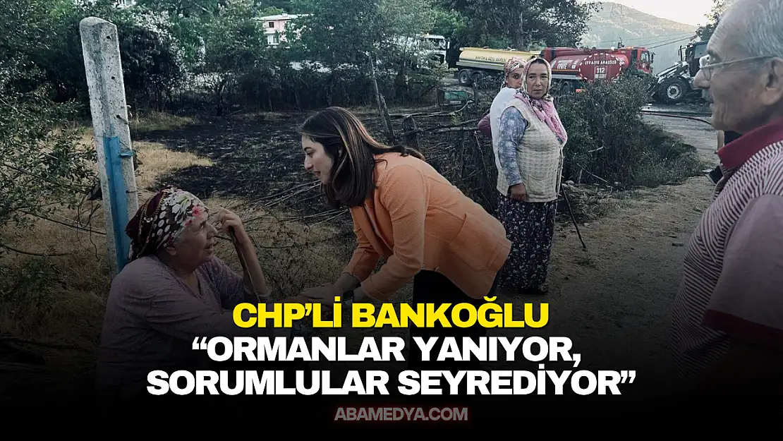 Aysu Bankoğlu: Ormanlar Yanıyor, Sorumlular Susuyor!