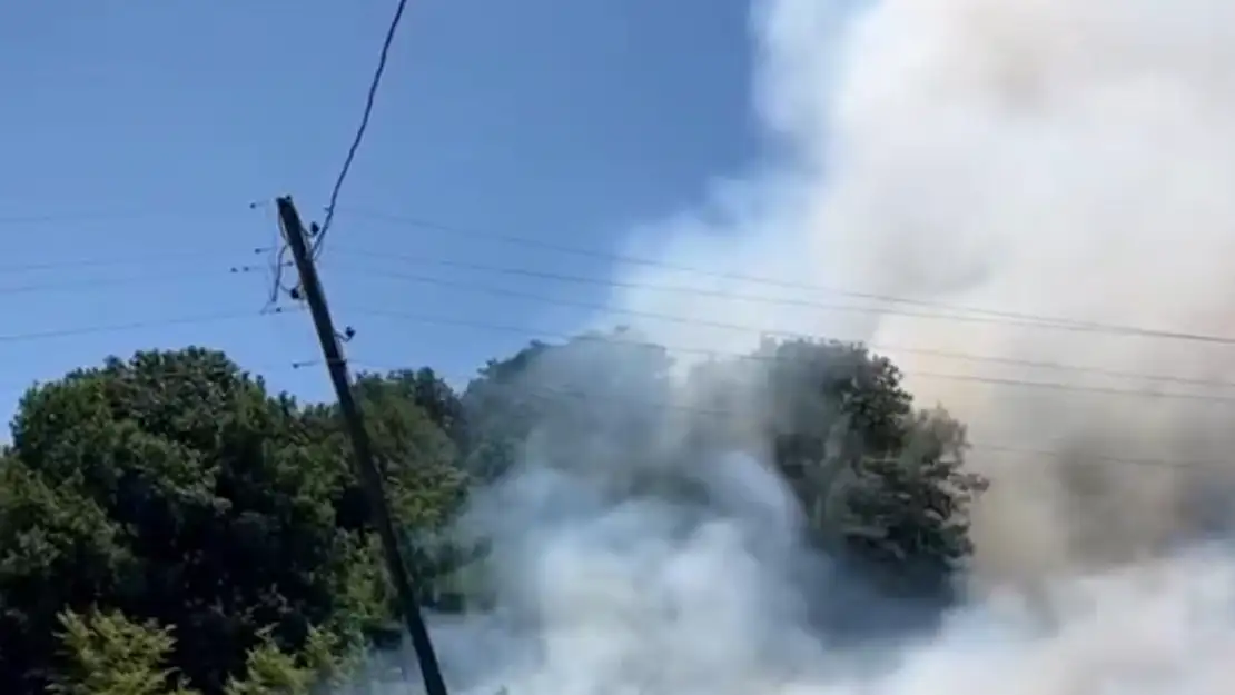 Bahçede çıkan yangın ormana sıçradı