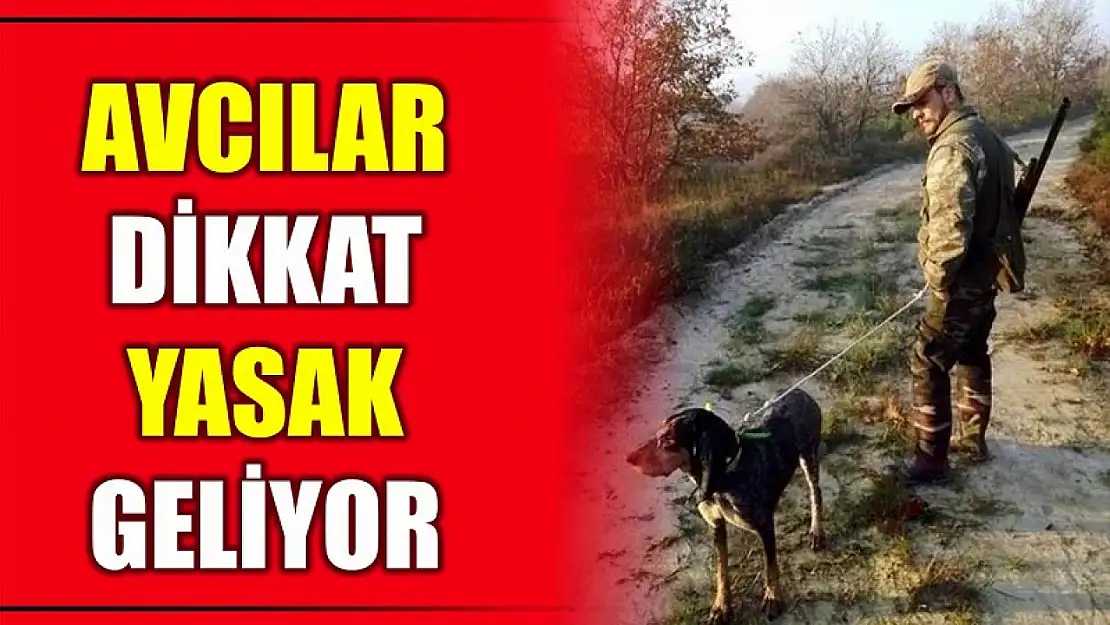 Bakan açıkladı