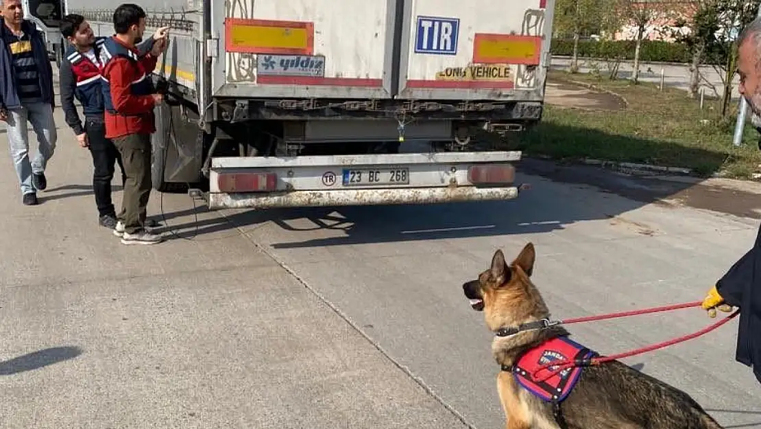 Sakarya ve Hatay'da 39 göçmen kaçakçısı organizatör yakalandı