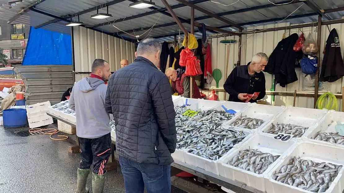 Balık fiyatları düşünce, yoğun ilgi başladı