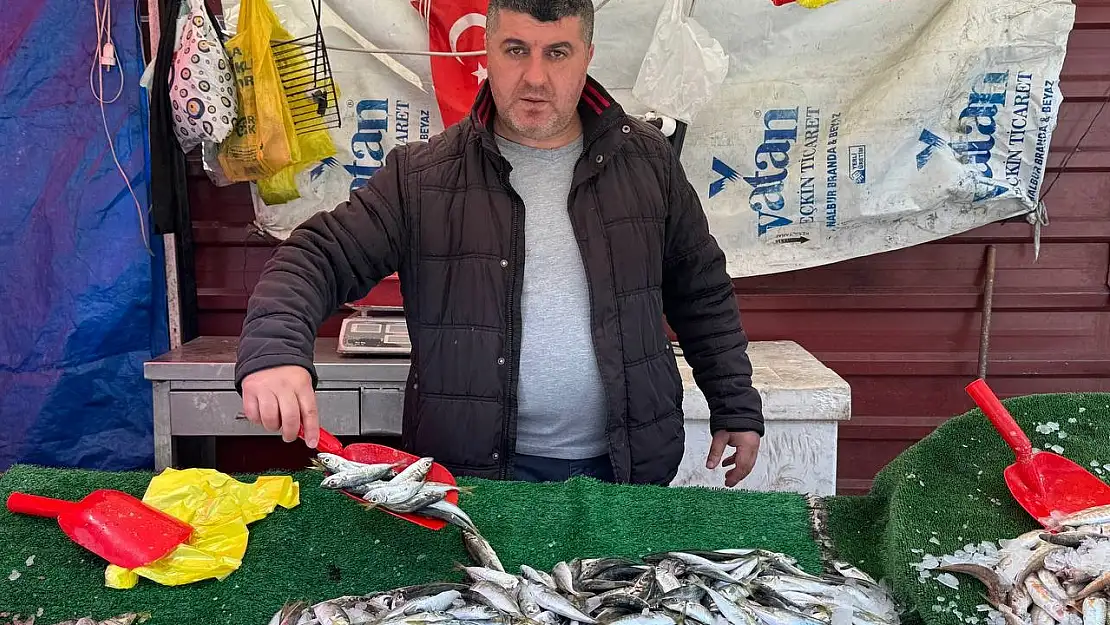 Balık sezonu bitmesine rağmen tezgahlarda hareketlilik sürüyor
