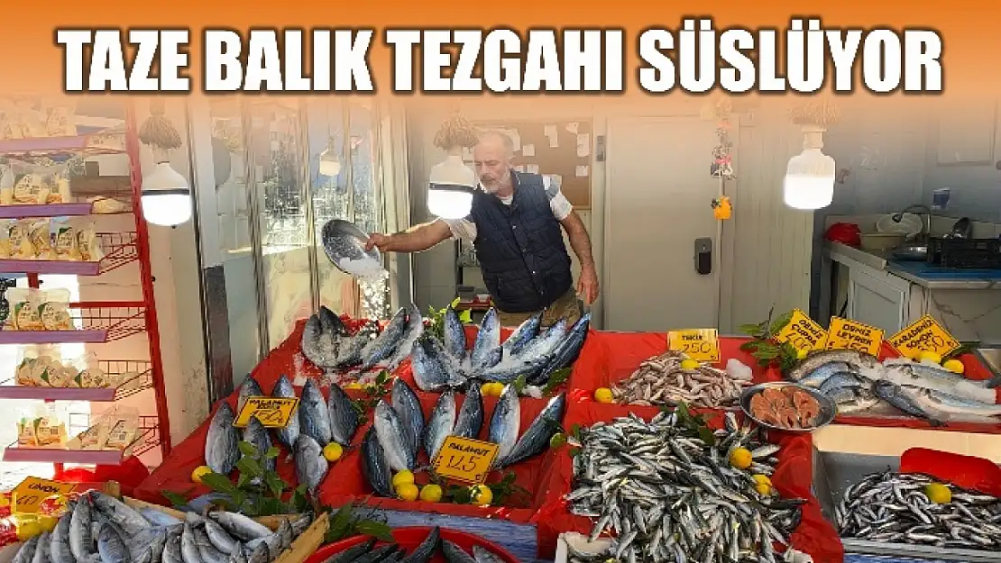 Balık yine yüz güldürüyor