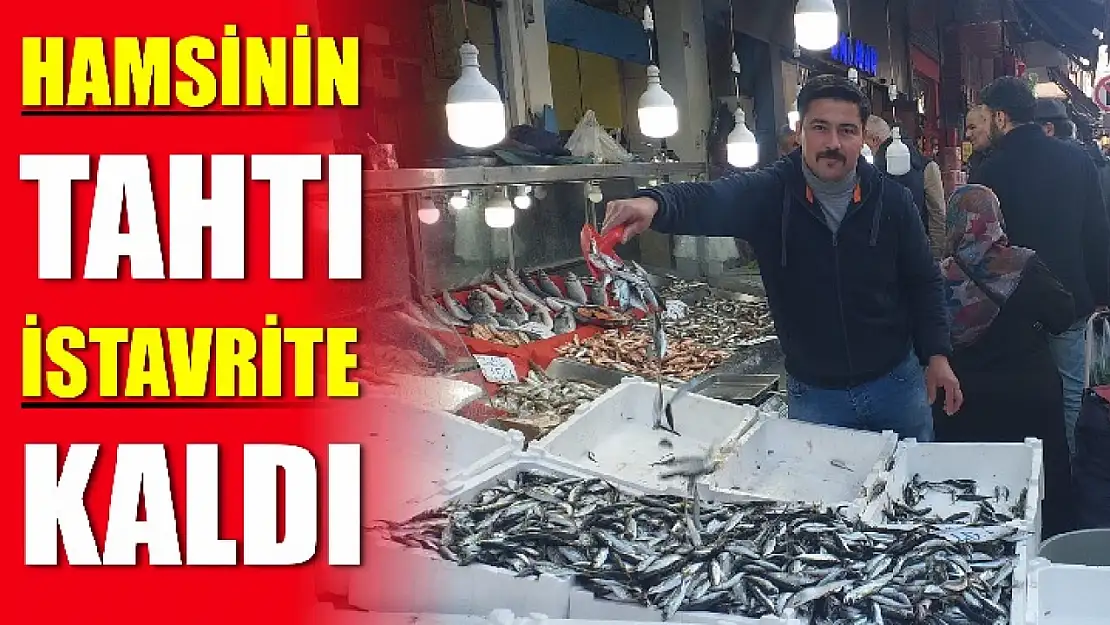 Balıkçılarda istavrit atağı