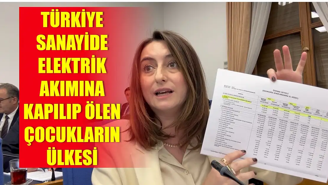 Bankoğlu, bütçe görüşmelerinde konuştu